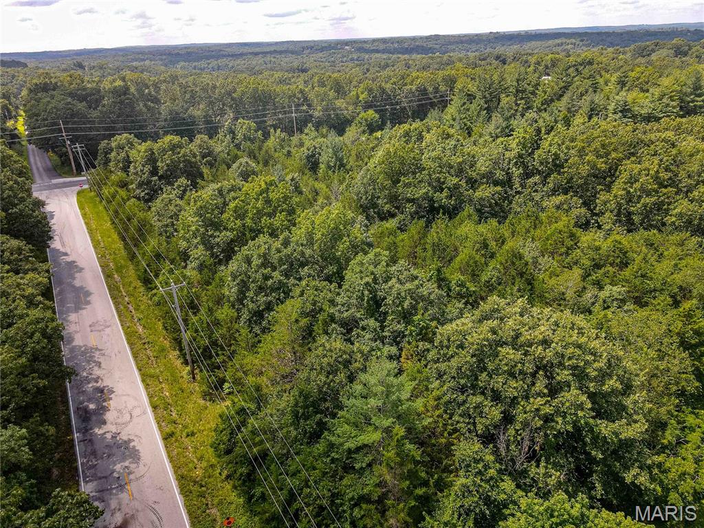 1811 Hendricks Road Lonedell, MO 63060 - Photo 4 of 5