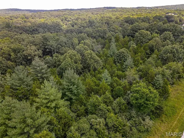 $40,000 | 1811 Hendricks Road, Lonedell, MO 63060