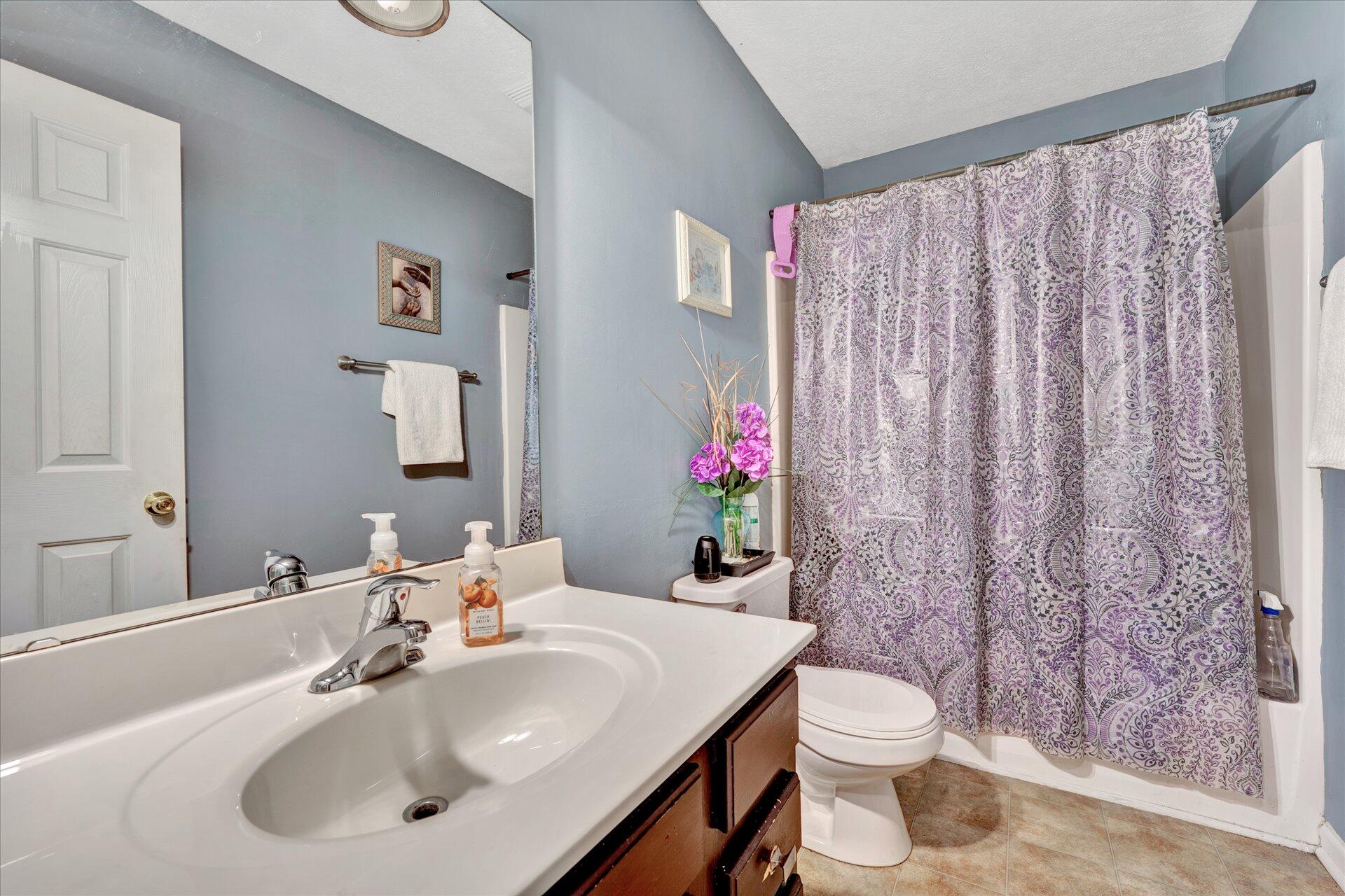 130 Highfield Road Rocky Mount, VA 24151 - Photo 12 of 23 a bathroom with a sink a toilet and shower curtain