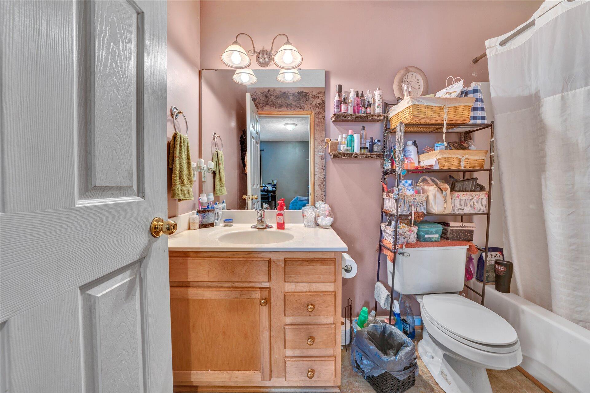 130 Highfield Road Rocky Mount, VA 24151 - Photo 16 of 23 a bathroom with a sink a toilet and a mirror