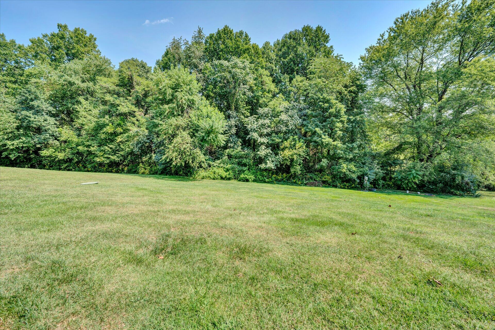 130 Highfield Road Rocky Mount, VA 24151 - Photo 22 of 23 a view of a yard with a plant