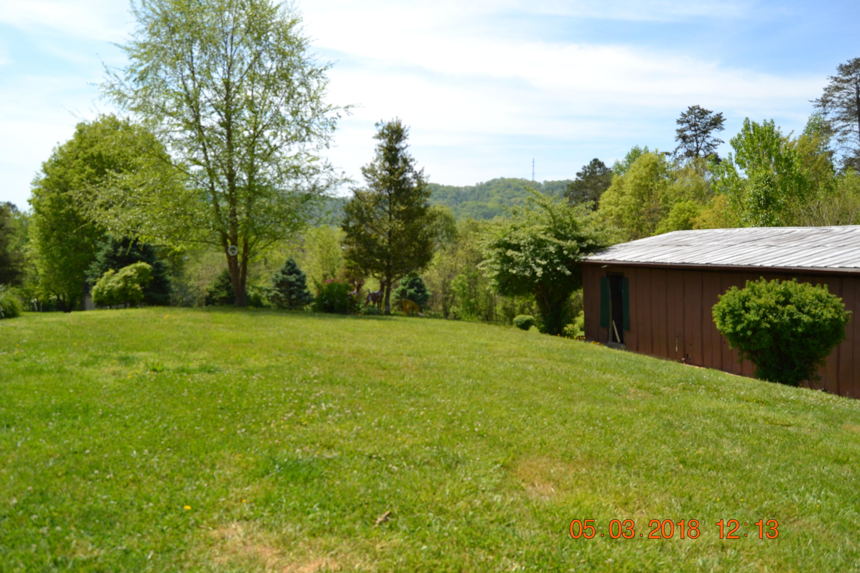 219 McDaniel Road Bean Station, TN 37708 - Photo 7 of 23 DSC_0532