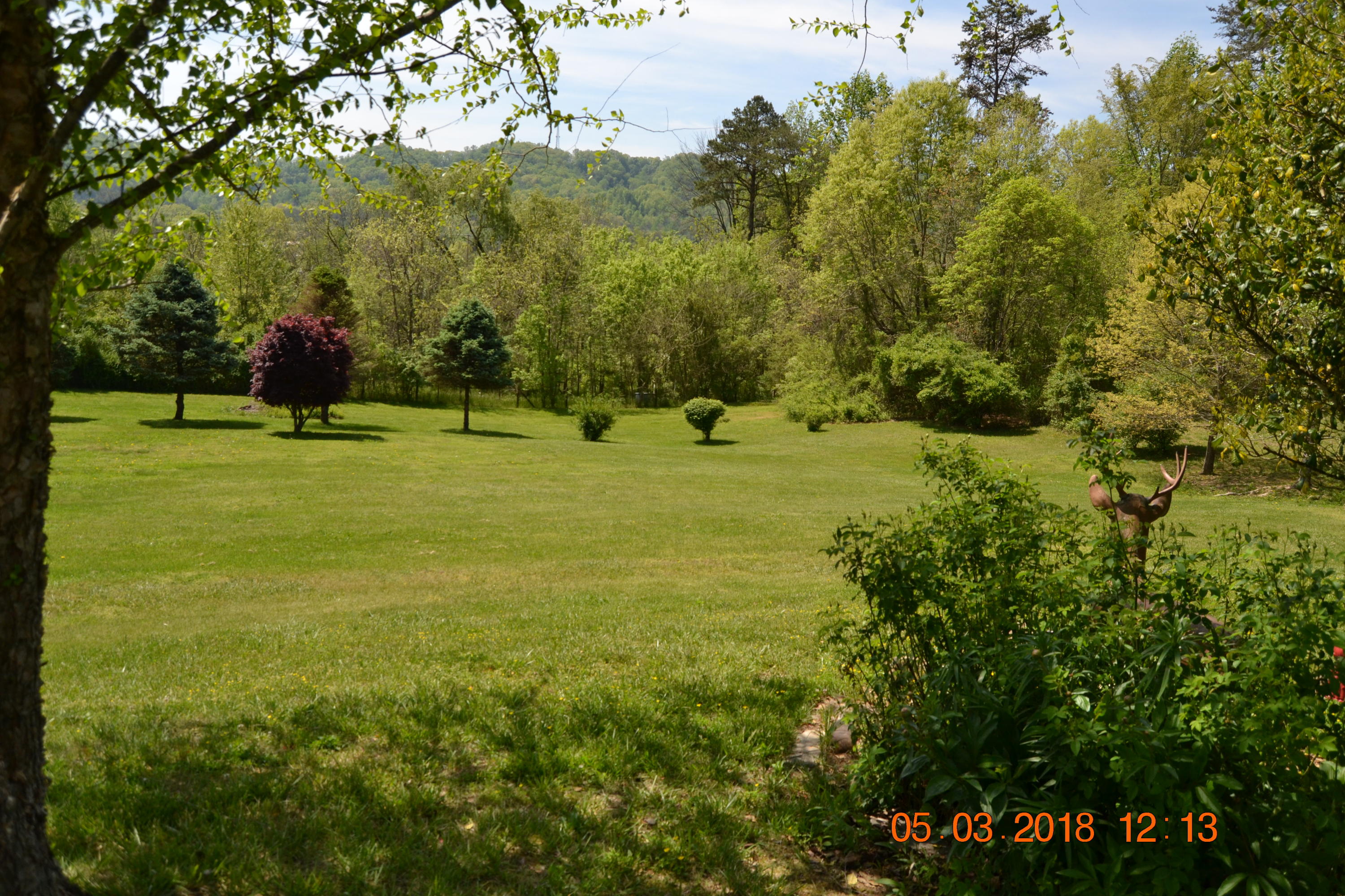 219 McDaniel Road Bean Station, TN 37708 - Photo 8 of 23 DSC_0533