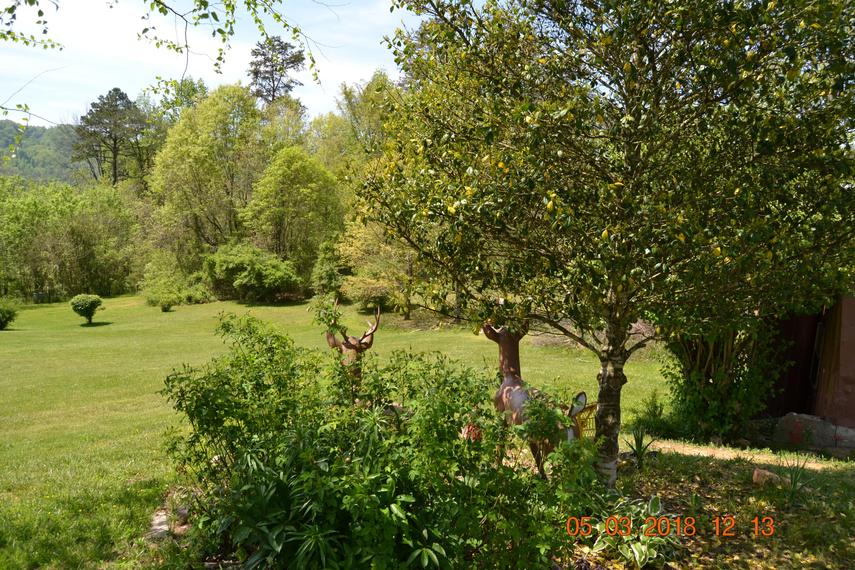 219 McDaniel Road Bean Station, TN 37708 - Photo 9 of 23 DSC_0534