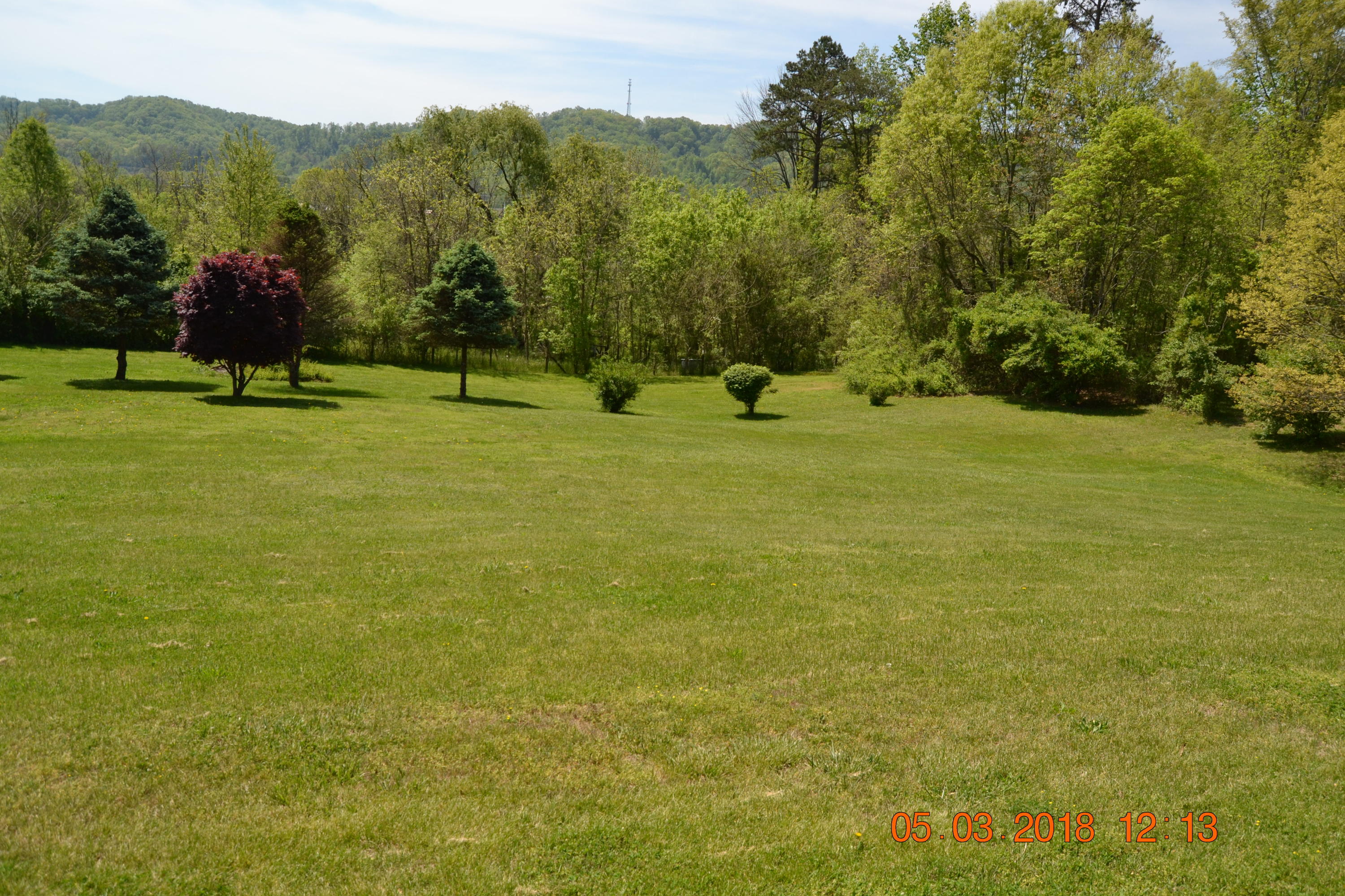 219 McDaniel Road Bean Station, TN 37708 - Photo 10 of 23 DSC_0535