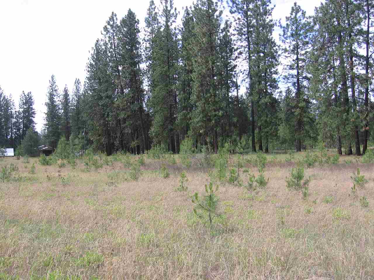 71 German Road Kettle Falls, WA 99141 - Photo 19 of 20 Gallery Image 19