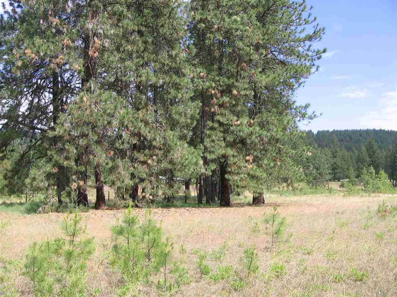 71 German Road Kettle Falls, WA 99141 - Photo 20 of 20 Gallery Image 20
