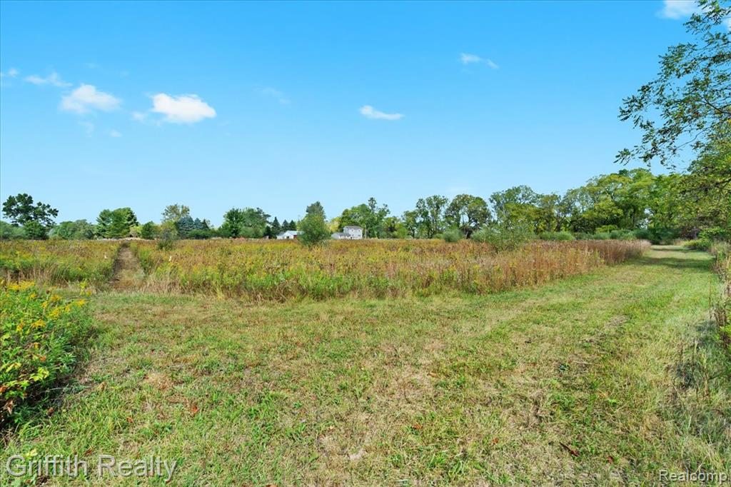 9800 Beeman Road Chelsea, MI 48118 - Photo 7 of 17