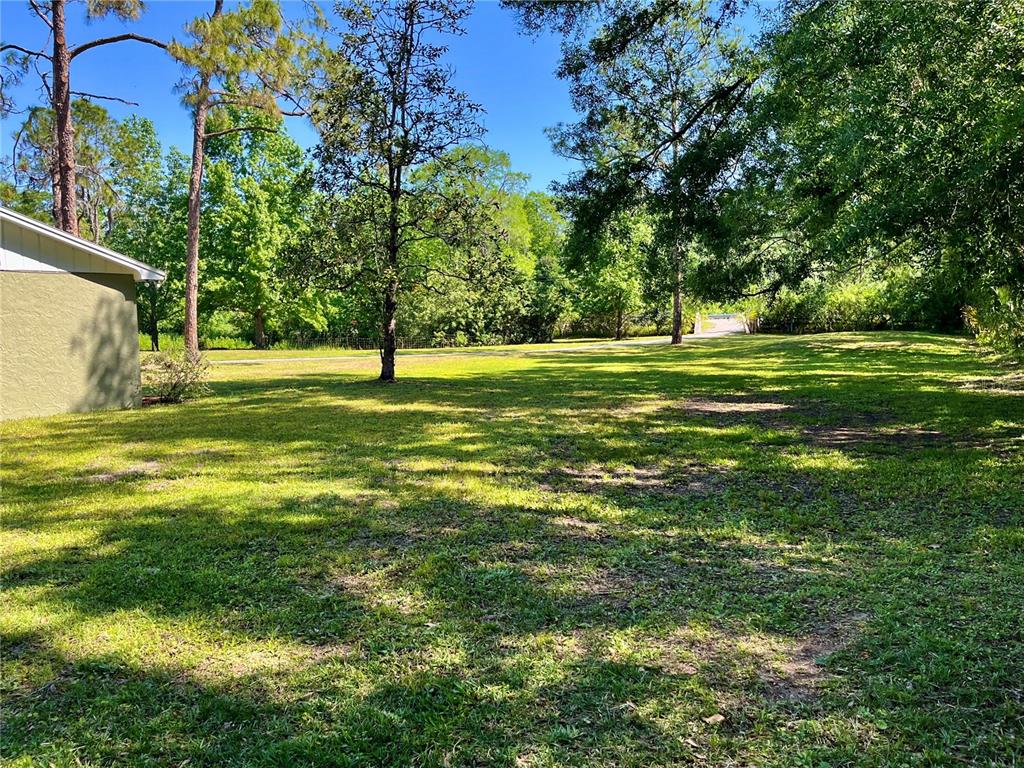 4310 Lithia Pinecrest Road Valrico, FL 33596 - Photo 56 of 62 Gallery Image 56