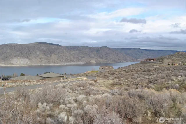 a view of a dry yard in middle of green field and covered with green space