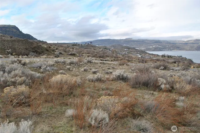 a view of a dry yard with wooden fence