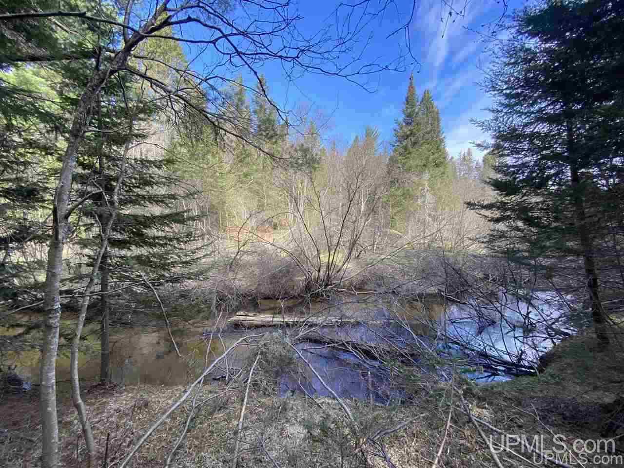 Tbd Tbd Co Road Negaunee, MI 49866 - Photo 21 of 40