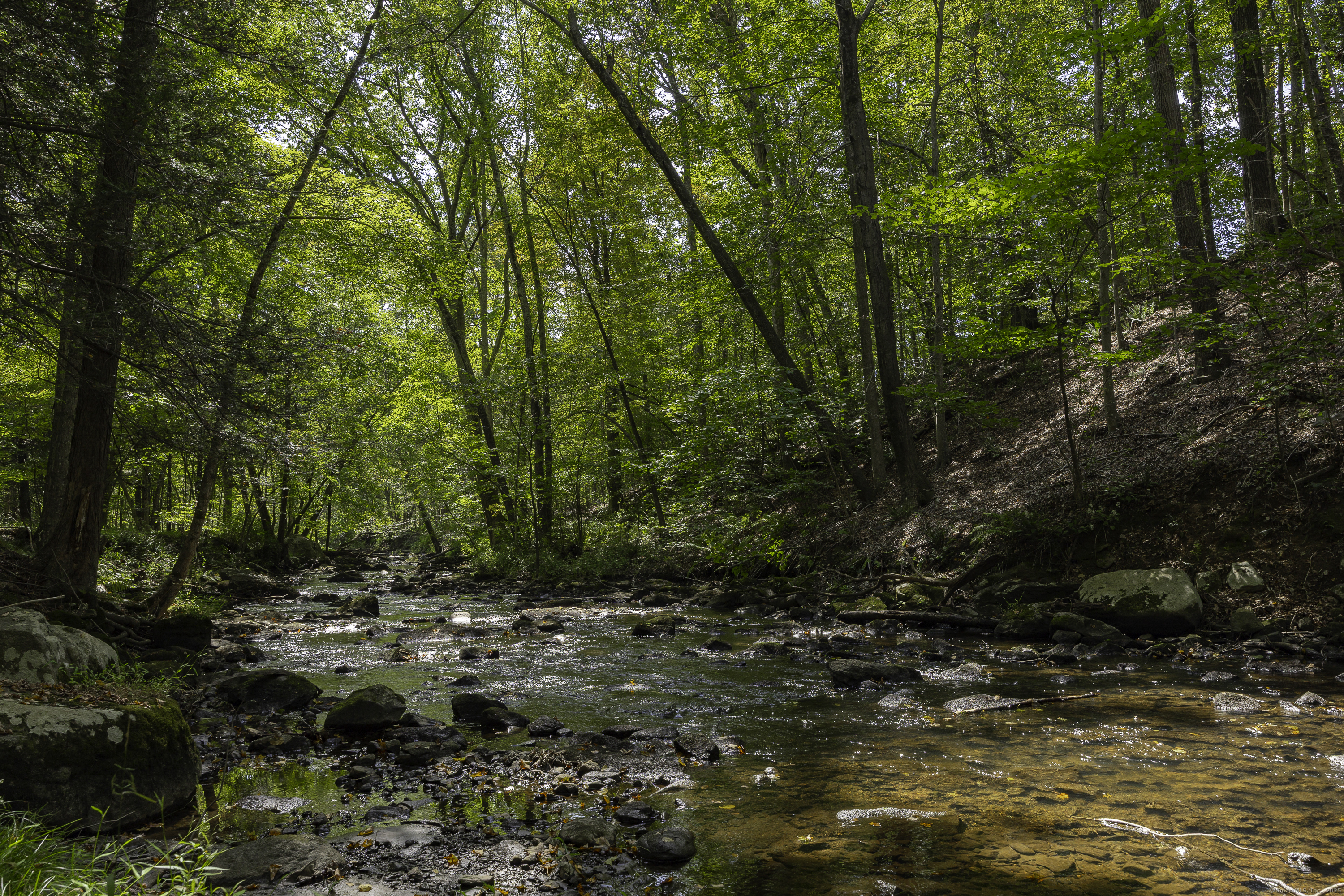 159 Merryall Road New Milford, CT 06776 - Photo 33 of 40