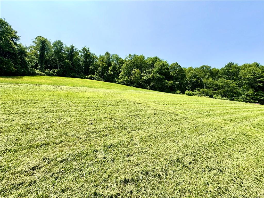 4404 Hollow Road New Castle, PA 16101 - Photo 26 of 28 Gallery Image 26