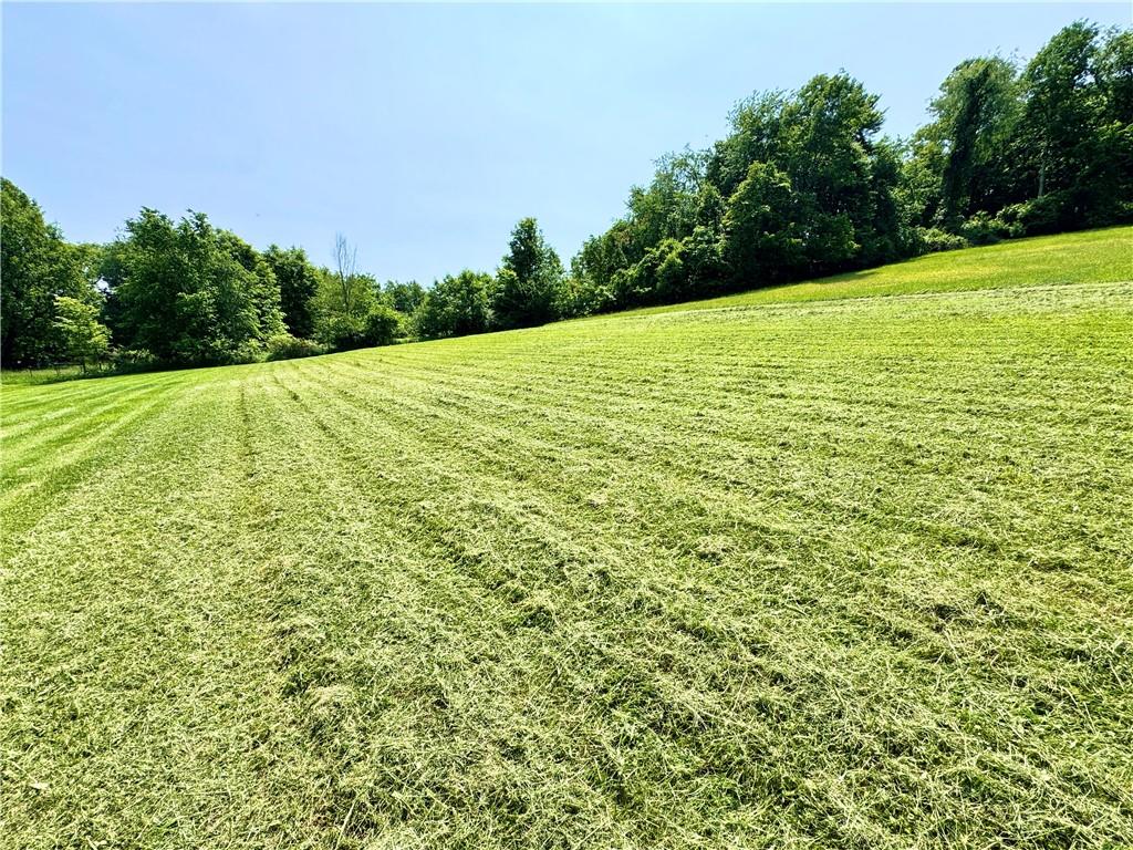 4404 Hollow Road New Castle, PA 16101 - Photo 28 of 28 Gallery Image 28