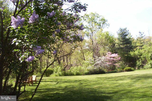 2010 Old Rothsville Road Lititz, PA 17543 - Photo 4 of 32