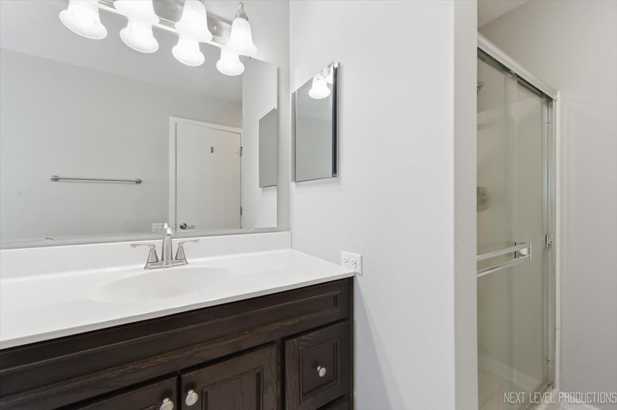 1102 Delta Drive, Unit 1102 Elgin, IL 60123 - Photo 20 of 29 a bathroom with a sink vanity and a mirror