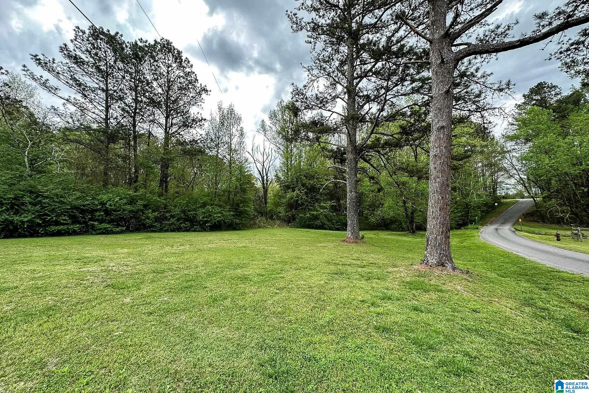 86 Simpson Road Ohatchee, AL 36271 - Photo 66 of 66