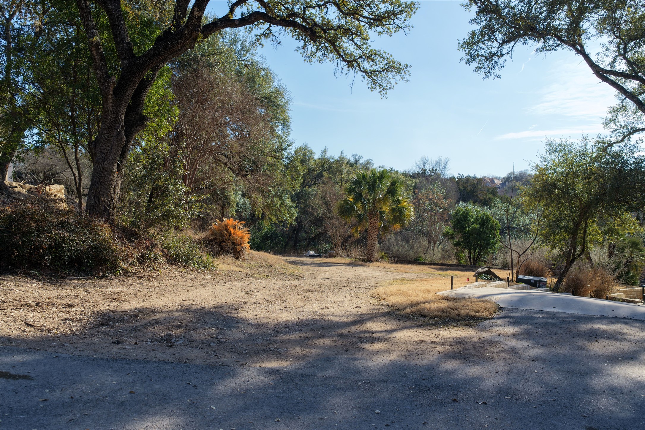 618 Bermuda Street Lakeway, TX 78734 - Photo 6 of 10 a view of dirt yard with a large tree