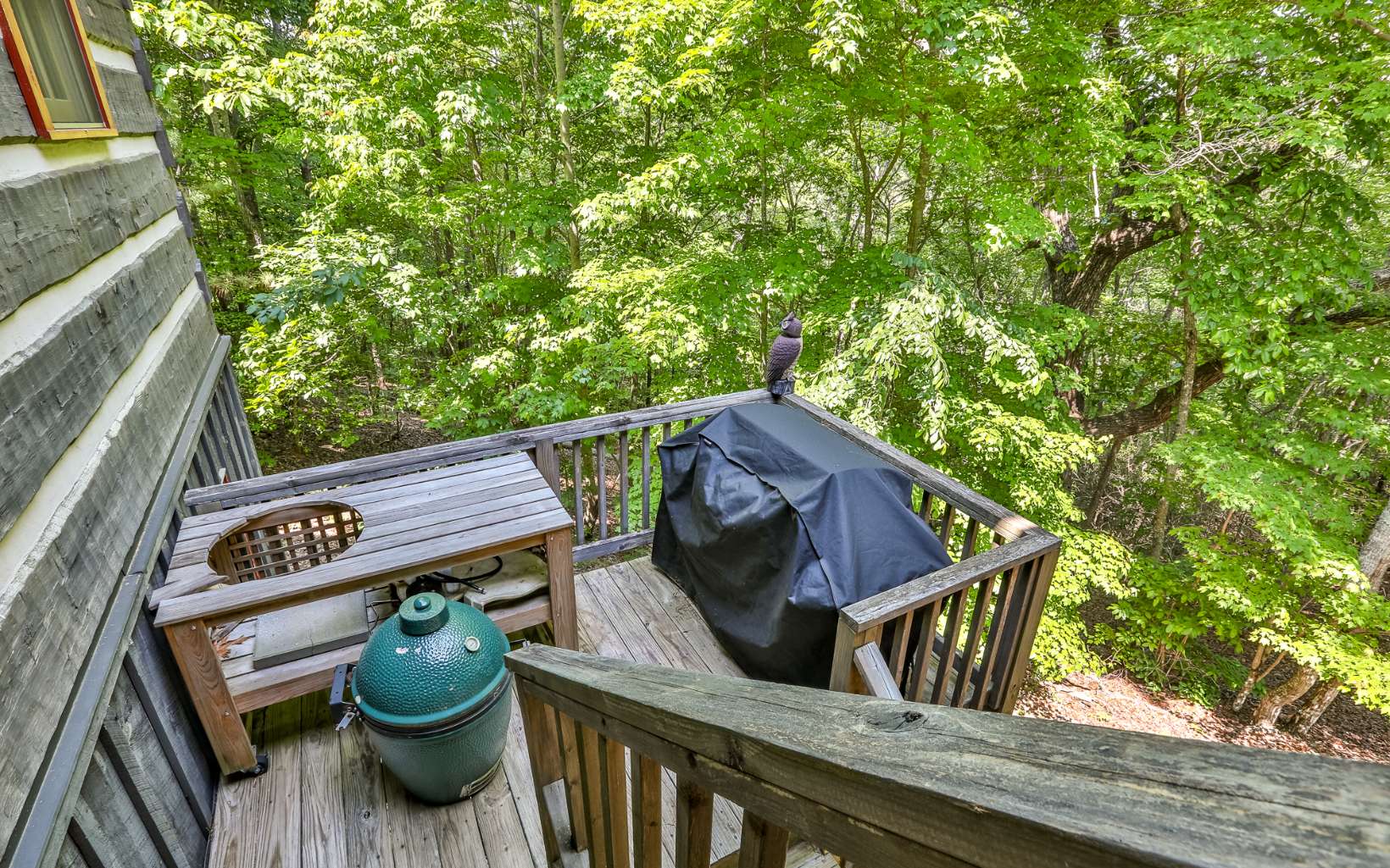 1735 Hunter Ridge Ellijay, GA 30540 - Photo 51 of 53 Additional View