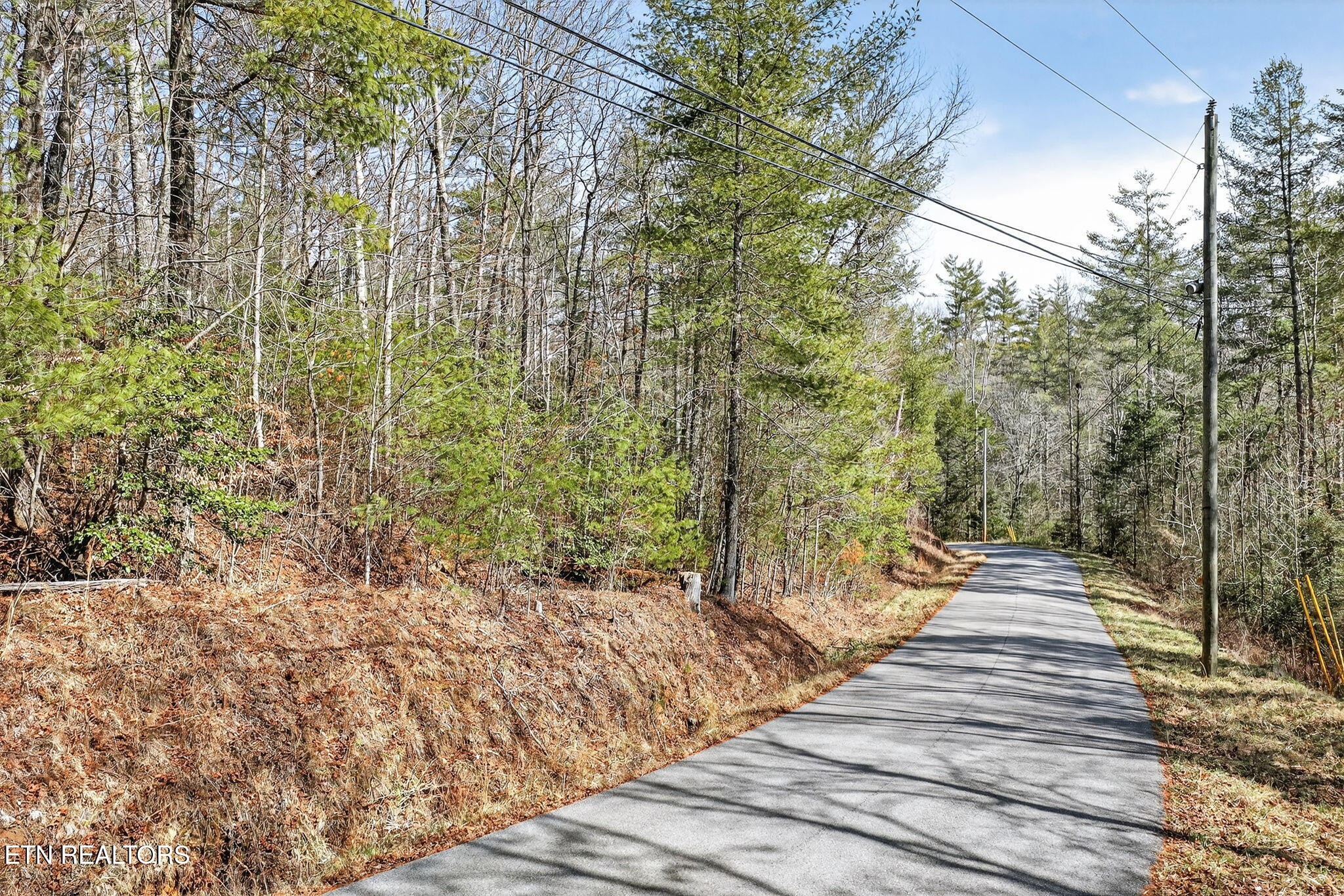 0 Dogwood Road Grandview, TN 37337 - Photo 14 of 16