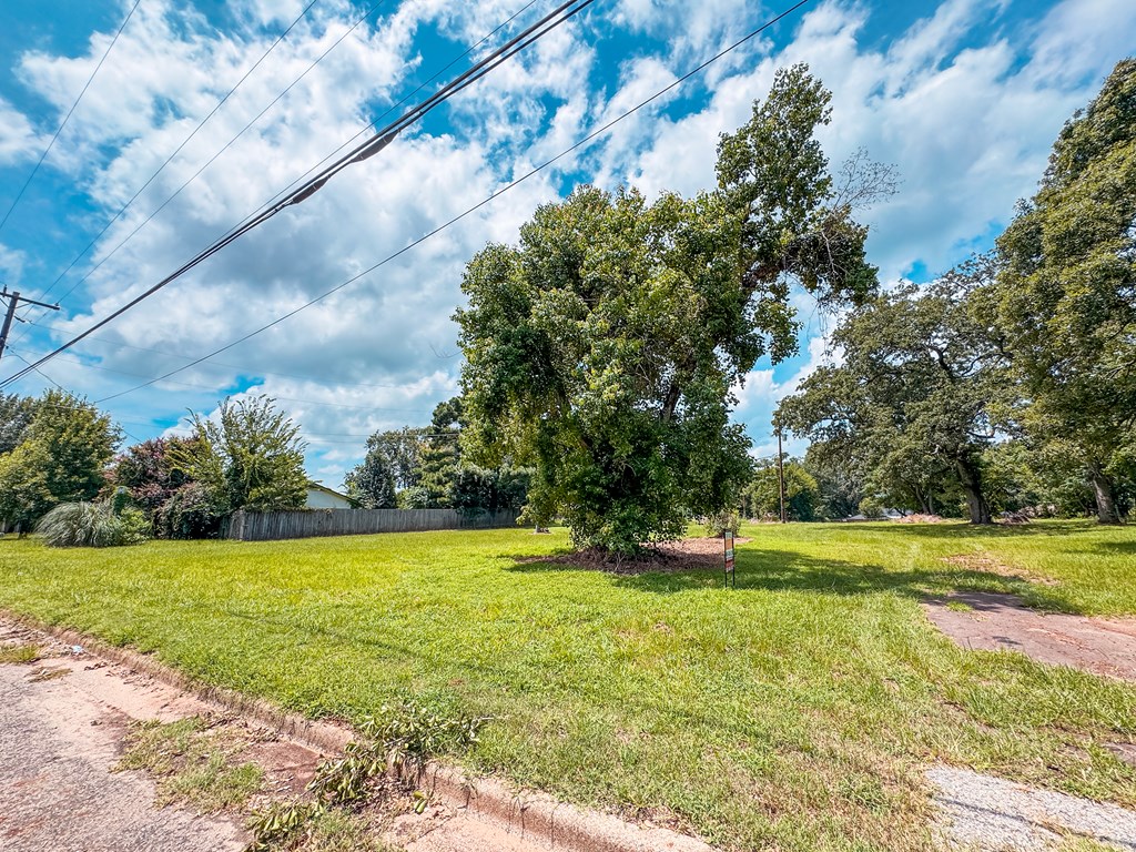 1711 West Point Tap Road Palestine, TX 75803 - Photo 4 of 17