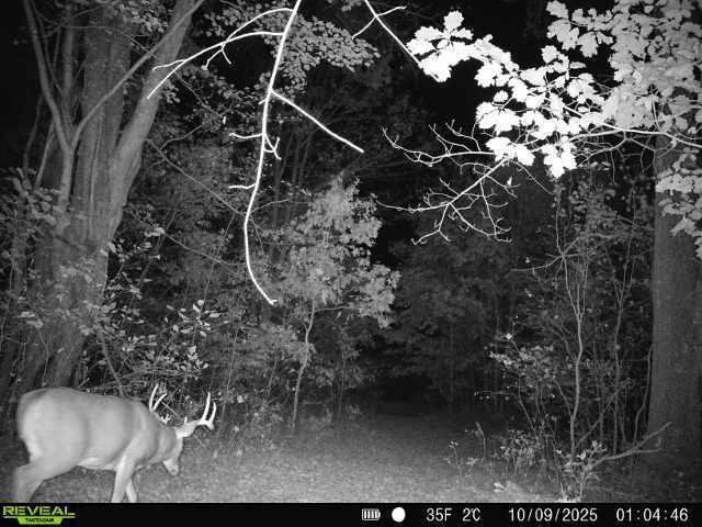 11401 Little George Lake Road Gladwin, MI 48624 - Photo 59 of 72