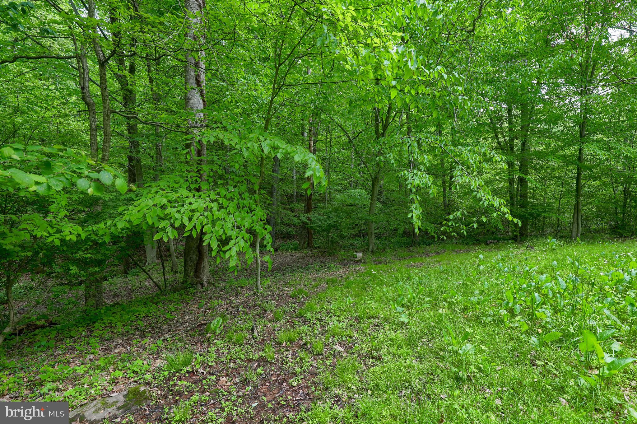 6491 Crone Road Dover, PA 17315 - Photo 5 of 35