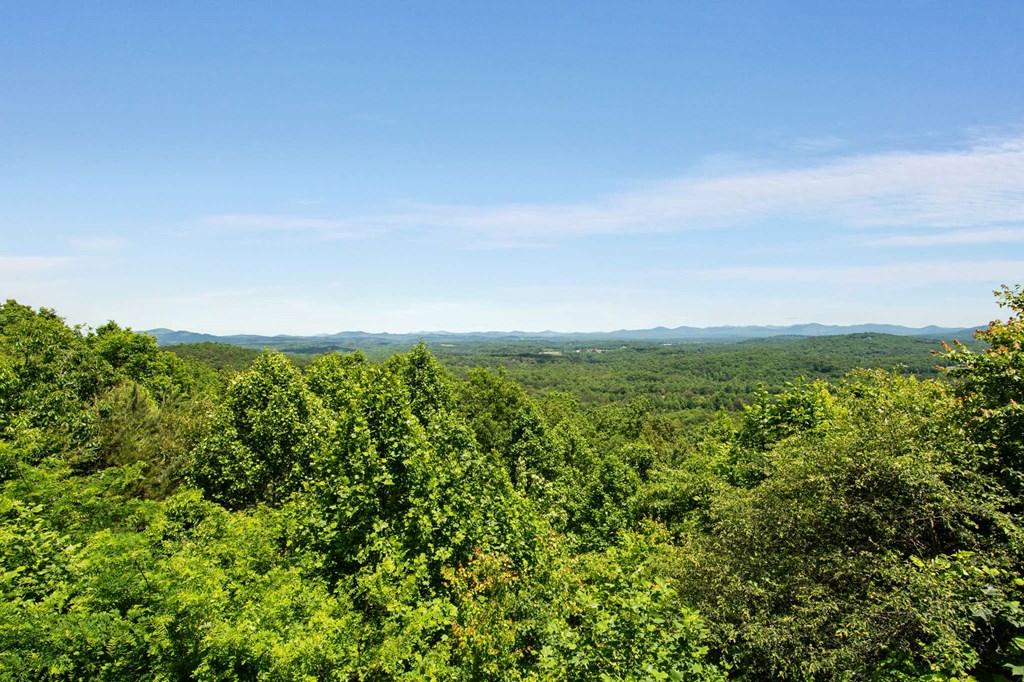 231 Sunrock Mountain Trail Blue Ridge, GA 30513 - Photo 2 of 61 a view of a green field