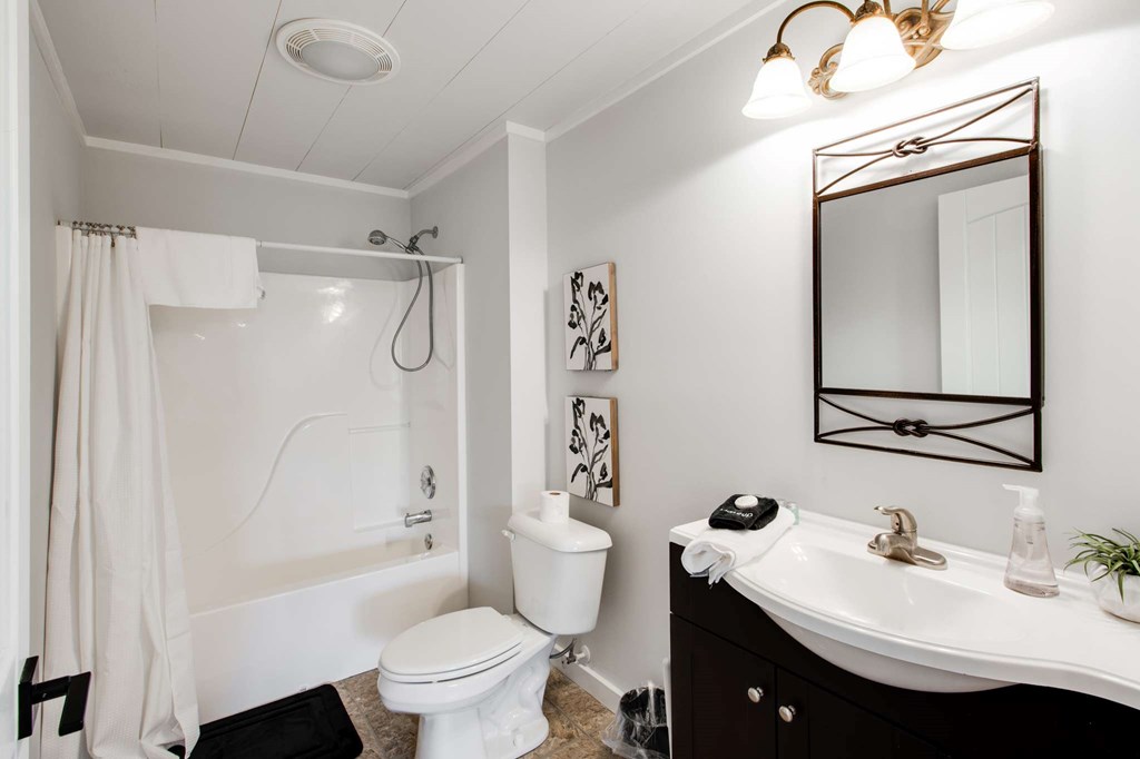 231 Sunrock Mountain Trail Blue Ridge, GA 30513 - Photo 52 of 61 a bathroom with a sink toilet tub and shower