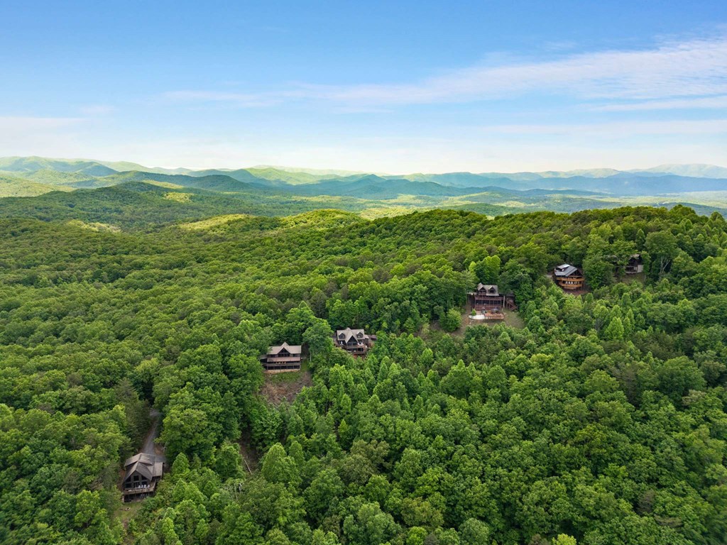231 Sunrock Mountain Trail Blue Ridge, GA 30513 - Photo 59 of 61 a view of a city with lush green forest