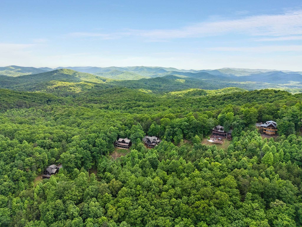 231 Sunrock Mountain Trail Blue Ridge, GA 30513 - Photo 60 of 61 a view of a lush green field with lots of bushes