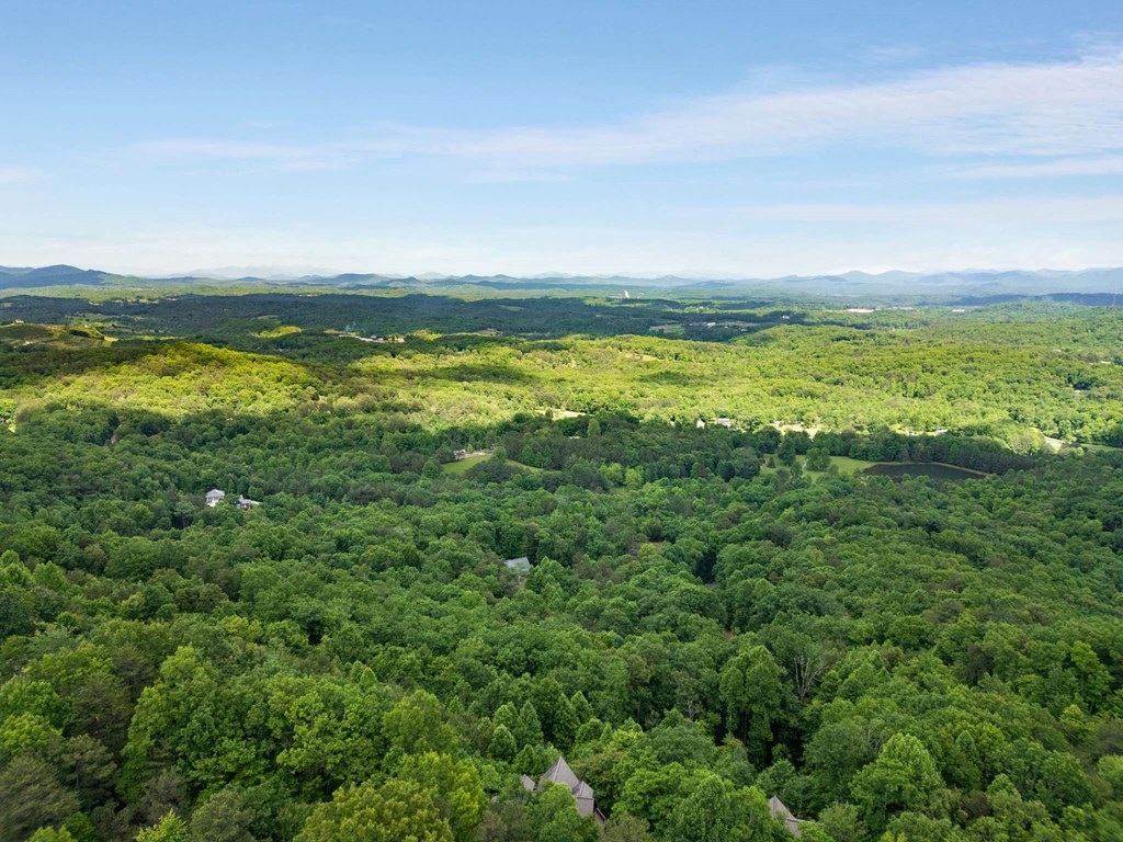 231 Sunrock Mountain Trail Blue Ridge, GA 30513 - Photo 61 of 61 a view of an ocean