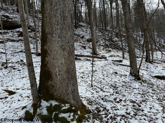1 Spruce Run Poca, WV 25159 - Photo 6 of 38 Gallery Image 6