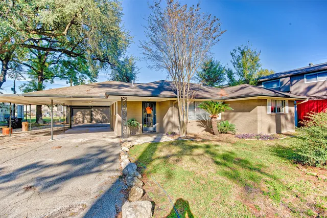 a view of a park with large trees
