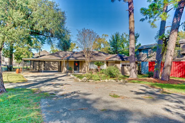 a view of street with palm trees