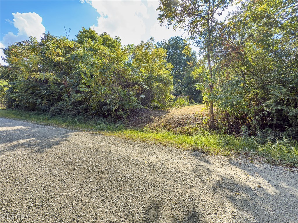 0 Rado Ridge Road Caldwell, OH 43724 - Photo 22 of 39 Gallery Image 22