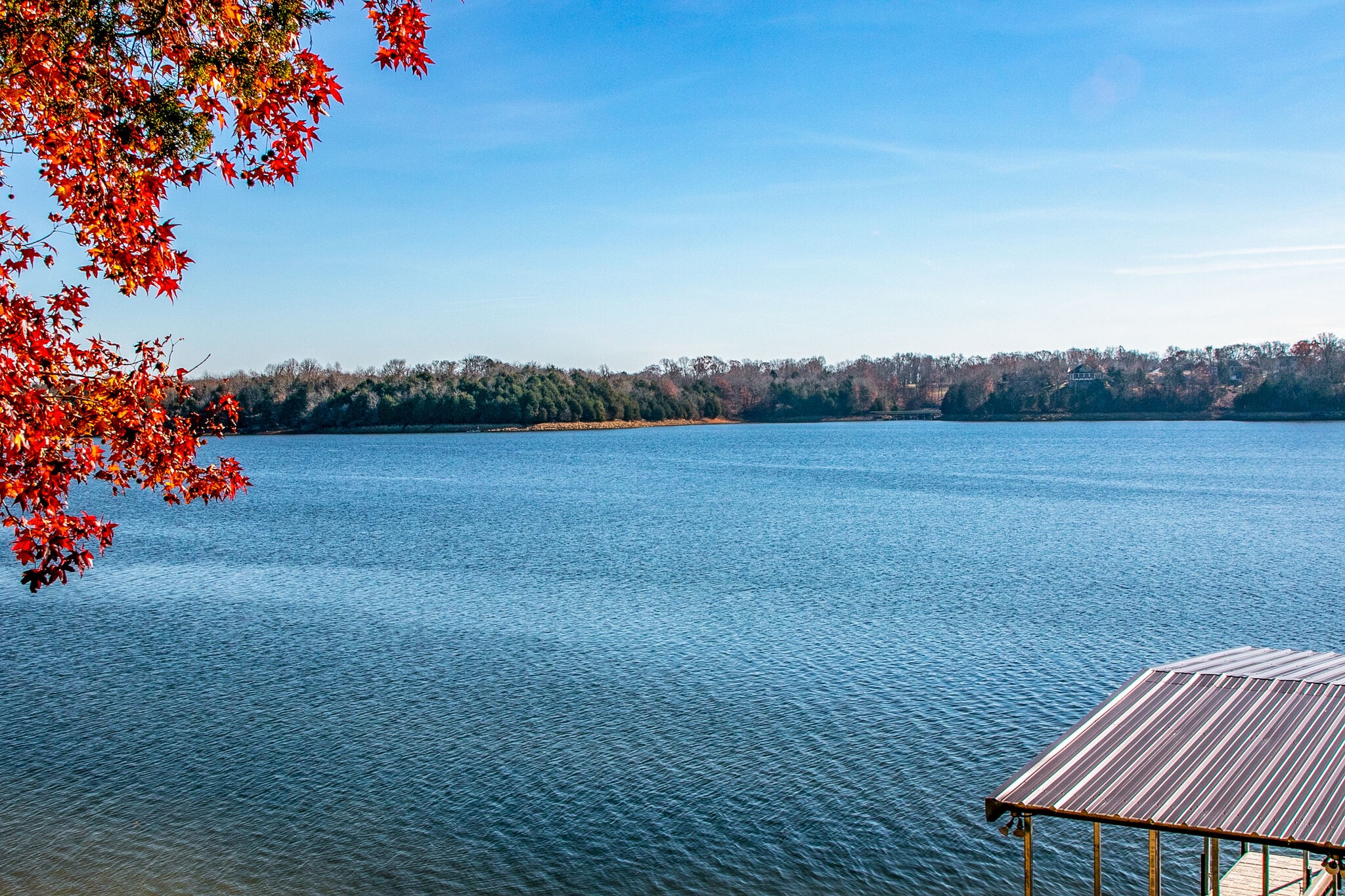 175 Holly Tree Drive Estill Springs, TN 37330 - Photo 38 of 38 a view of a yard
