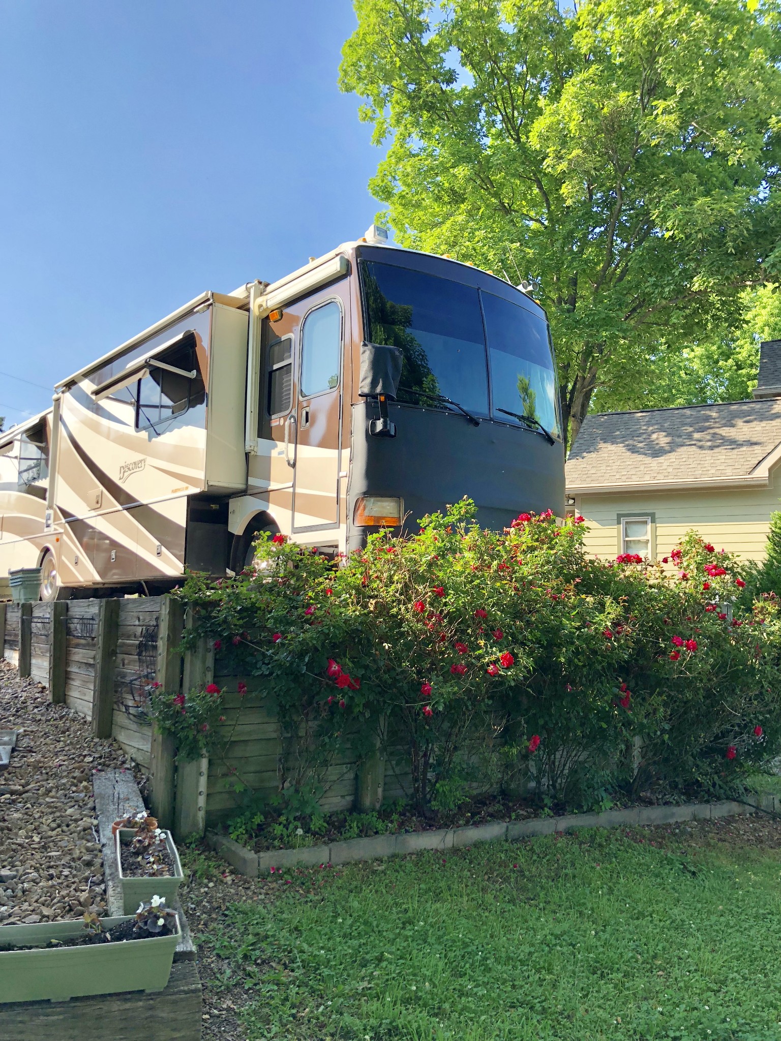 175 Holly Tree Drive Estill Springs, TN 37330 - Photo 6 of 38 a house with green field in front of it