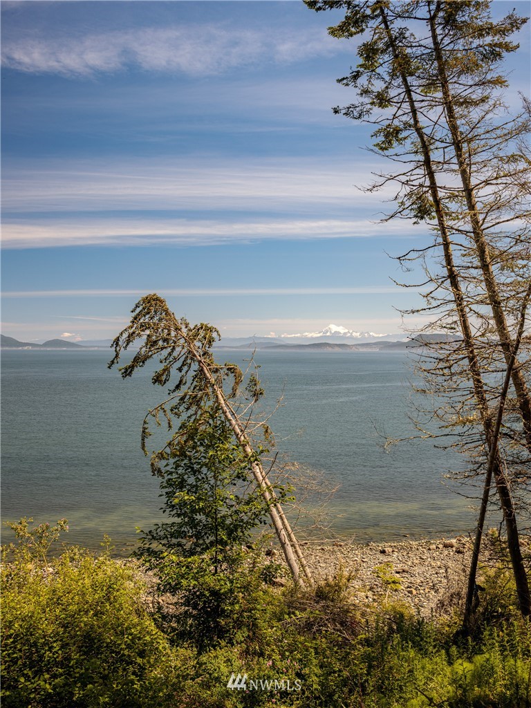9 Eliza Road Lopez Island, WA 98261 - Photo 2 of 16 Gallery Image 2