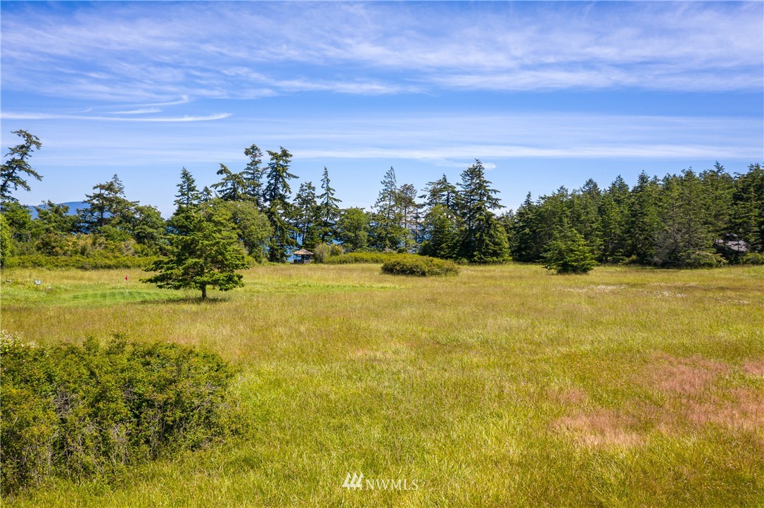 9 Eliza Road Lopez Island, WA 98261 - Photo 15 of 16 Gallery Image 15