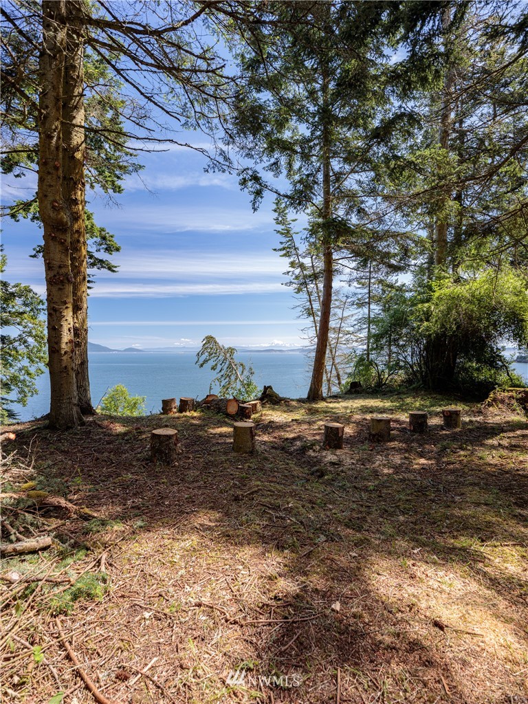 9 Eliza Road Lopez Island, WA 98261 - Photo 4 of 16 Gallery Image 4