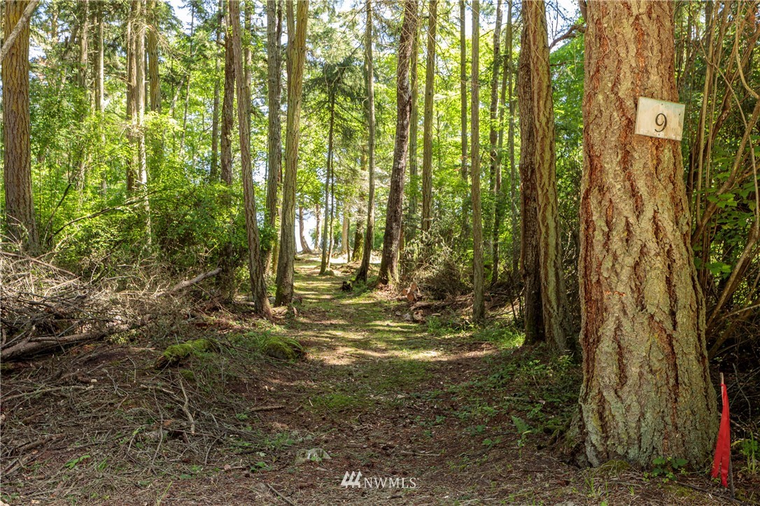 9 Eliza Road Lopez Island, WA 98261 - Photo 6 of 16 Gallery Image 6