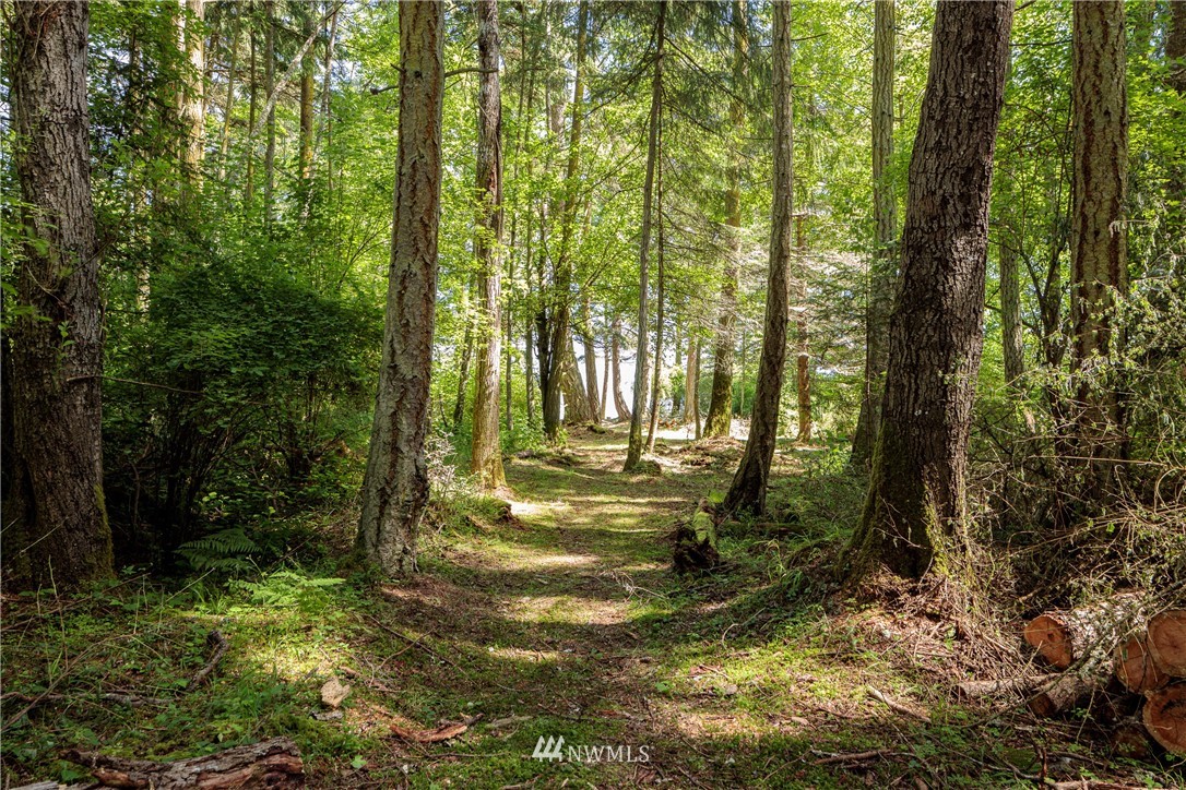 9 Eliza Road Lopez Island, WA 98261 - Photo 7 of 16 Gallery Image 7