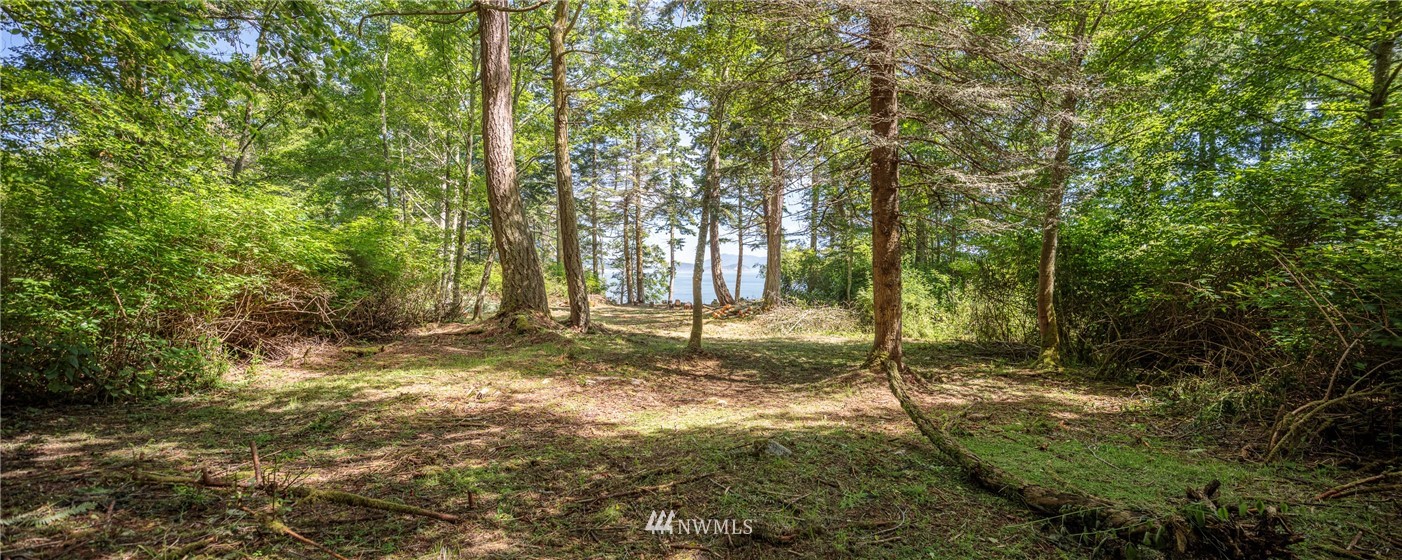 9 Eliza Road Lopez Island, WA 98261 - Photo 8 of 16 Gallery Image 8