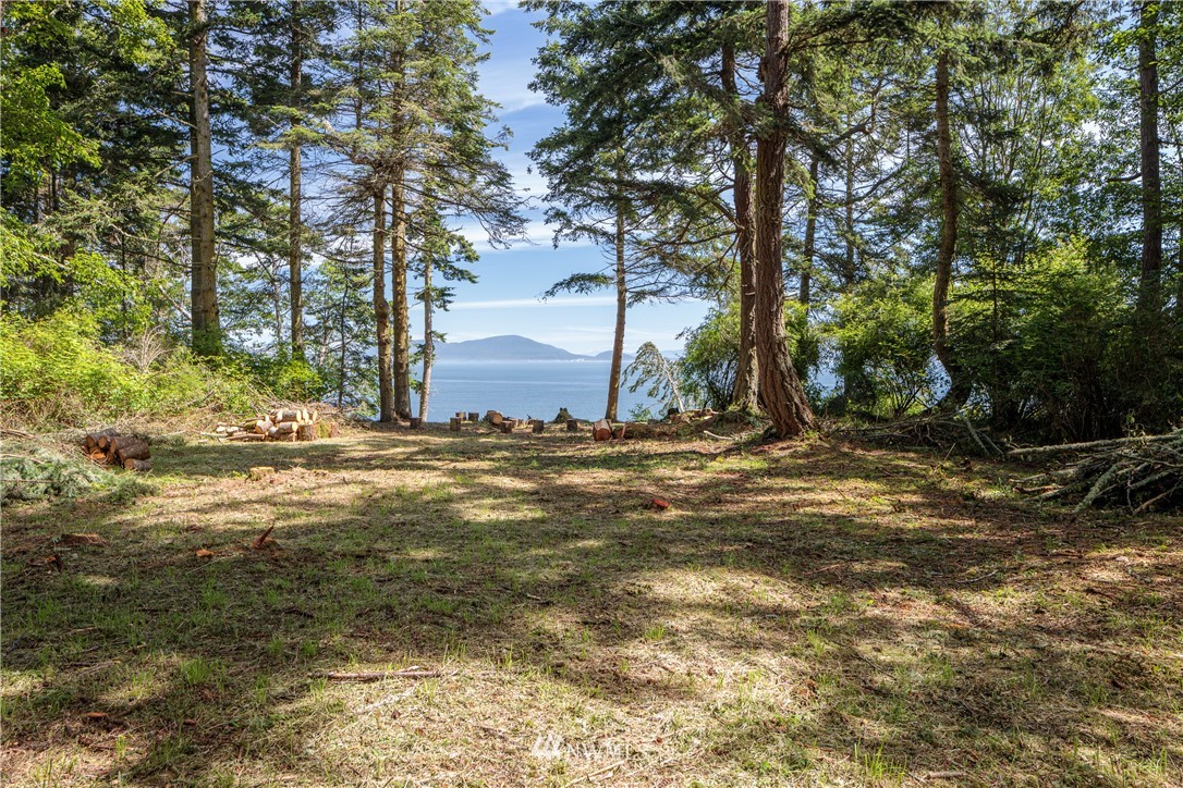 9 Eliza Road Lopez Island, WA 98261 - Photo 9 of 16 Gallery Image 9