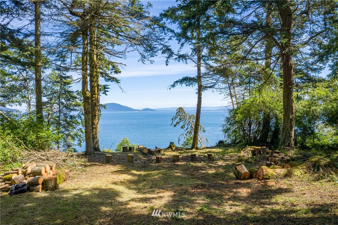 9 Eliza Road Lopez Island, WA 98261 - Photo 10 of 16 Gallery Image 10