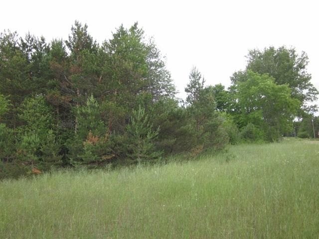 117 County Line Road Northeast Mancelona, MI 49659 - Photo 1 of 27 1787192.JPG