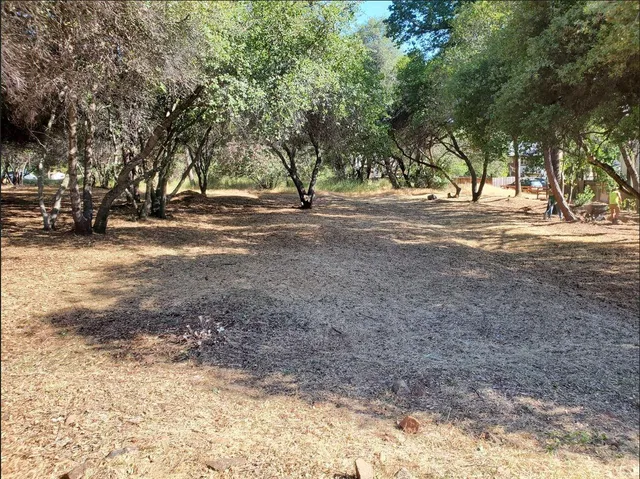a view of road and trees