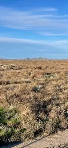 a view of city and ocean